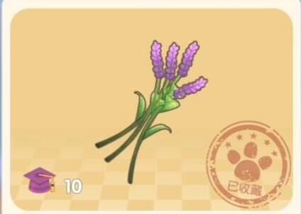 摩尔庄园薰衣草花梗怎么获得？获取薰衣草花梗位置方法一览[多图]图片3