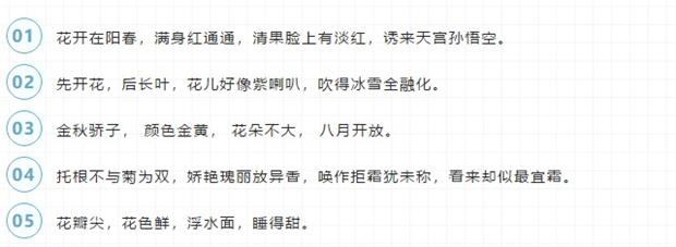 奇迹暖暖花卉套装名称谜语答案攻略