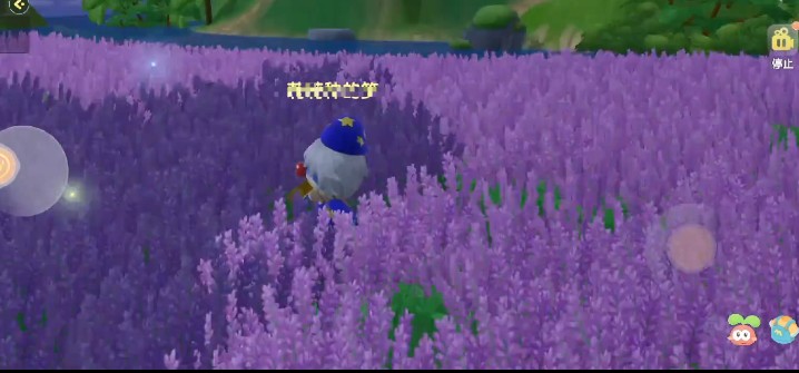 摩尔庄园获取薰衣草花梗攻略大全