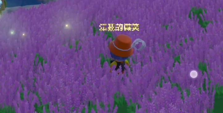 摩尔庄园获取薰衣草花梗攻略大全 薰衣草花梗获取方法介绍图片2
