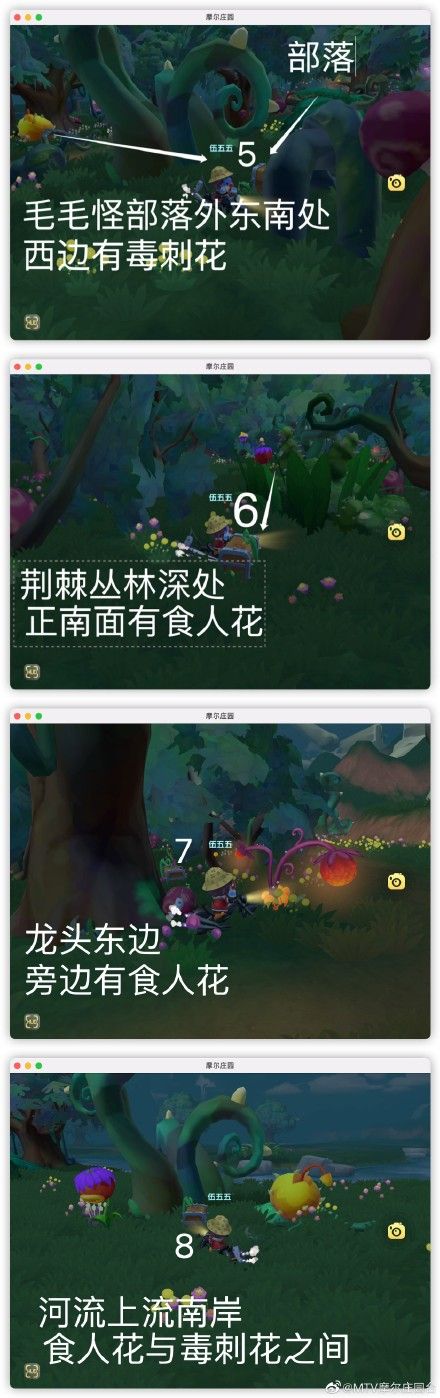 摩尔庄园凯文老师的特训任务怎么做？凯文老师的特训任务攻略图片4