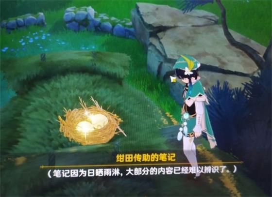 原神绀田事话怎么做？绀田事话任务图文攻略[多图]图片6