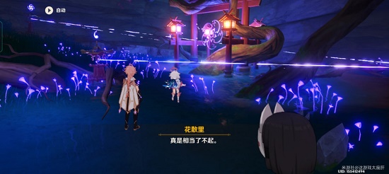 原神稻妻井底探索任务玩法解析