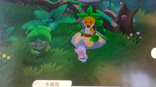 摩尔庄园怎么样才能得到木灵珠