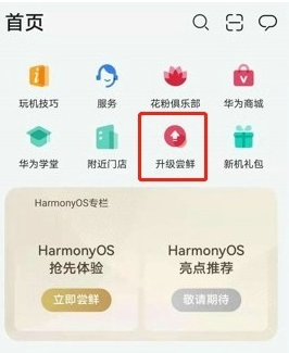 华为nova8SE怎么升级鸿蒙系统-升级鸿蒙系统步骤