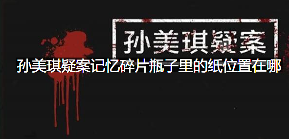 孙美琪疑案记忆碎片瓶子里的纸位置在哪