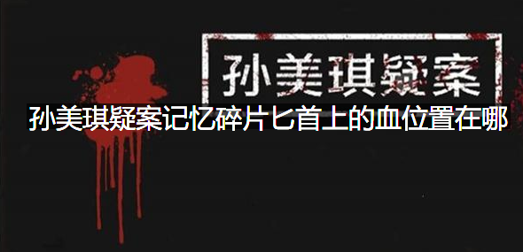 孙美琪疑案记忆碎片匕首上的血位置在哪
