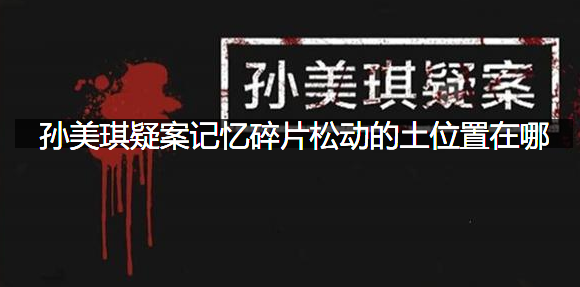 孙美琪疑案记忆碎片松动的土位置在哪