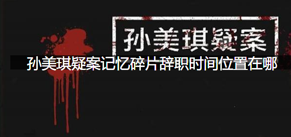 孙美琪疑案记忆碎片辞职时间位置在哪