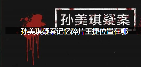 孙美琪疑案记忆碎片王捷位置在哪