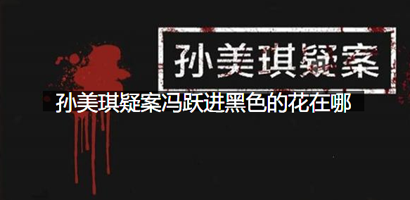 孙美琪疑案冯跃进黑色的花在哪