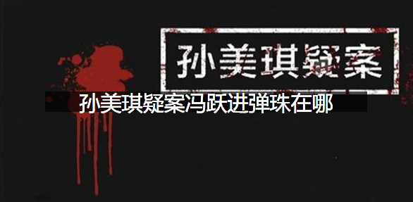 孙美琪疑案冯跃进弹珠在哪