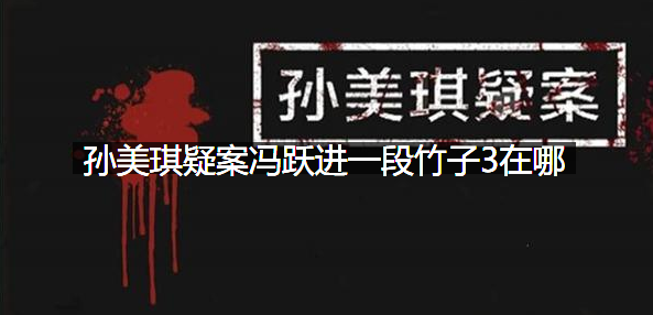 孙美琪疑案冯跃进一段竹子3在哪