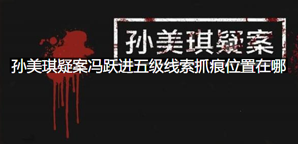 孙美琪疑案冯跃进五级线索抓痕位置在哪