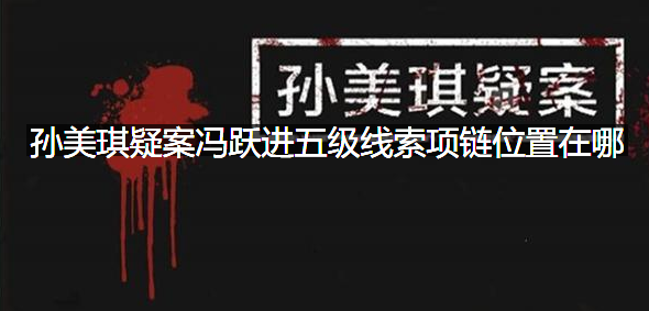 孙美琪疑案冯跃进五级线索项链位置在哪