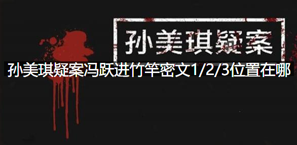 孙美琪疑案冯跃进竹竿密文1/2/3位置在哪