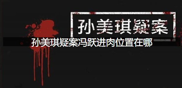 孙美琪疑案冯跃进肉位置在哪