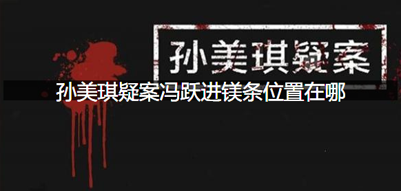 孙美琪疑案冯跃进镁条位置在哪