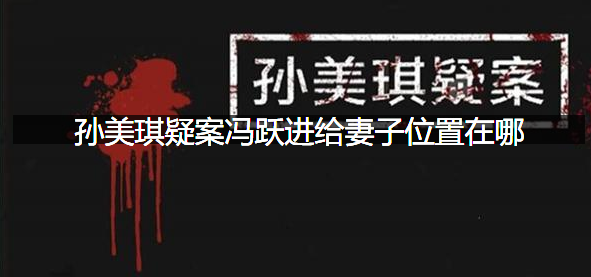 孙美琪疑案冯跃进给妻子位置在哪