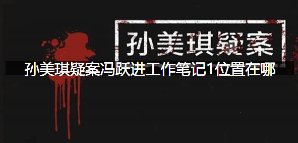 孙美琪疑案冯跃进工作笔记1位置在哪