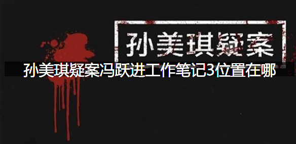 孙美琪疑案冯跃进工作笔记3位置在哪