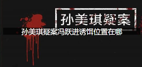 孙美琪疑案冯跃进诱饵位置在哪