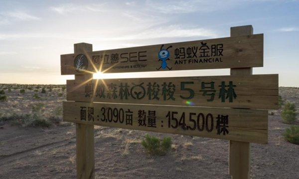 支付宝车辆停驶怎么没有没有能量了