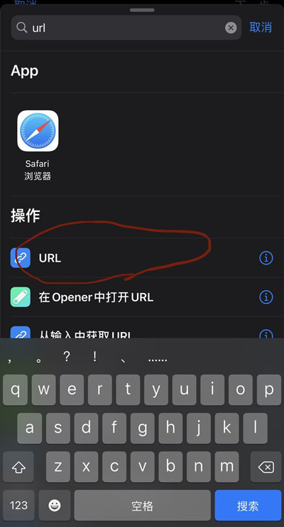 支付宝健康码url代码大全 健康码URL快捷指令设置方法[多图]图片2