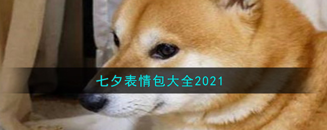 2021七夕表情包有哪些