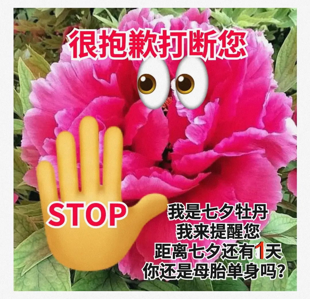 七夕牡丹母单是什么梗？2021七夕牡丹表情包大全