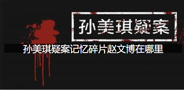 孙美琪疑案记忆碎片赵文博在哪里