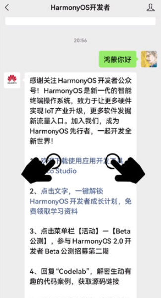 华为手机聊天隐私保护功能怎么用