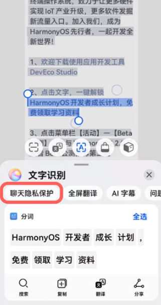 华为聊天隐私保护功能怎么用