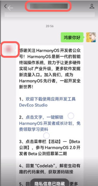华为聊天隐私保护功能怎么用