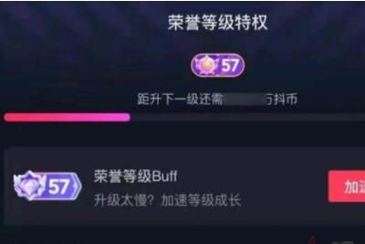 抖音升60级多少钱？
