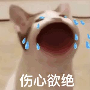 发疯文学是什么梗？