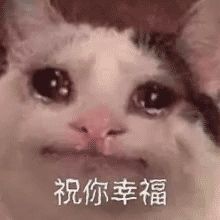 发疯文学是什么梗？发疯文学文案催发货分享