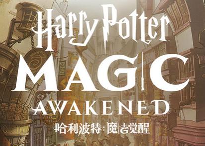 哈利波特魔法觉醒隐藏发型都有什么