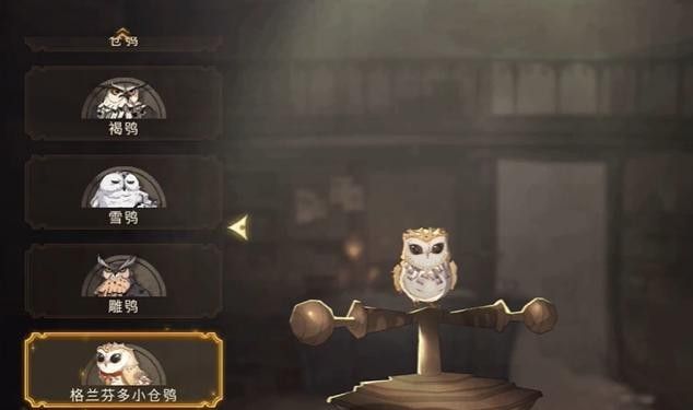 哈利波特魔法觉醒宠物获取途径有哪些？