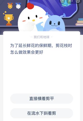 为了延长鲜花的保鲜期剪花枝时怎么做效果会更好