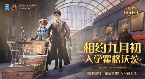 哈利波特魔法觉醒如何改名字