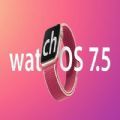 苹果watchOS 8 RC描述文件