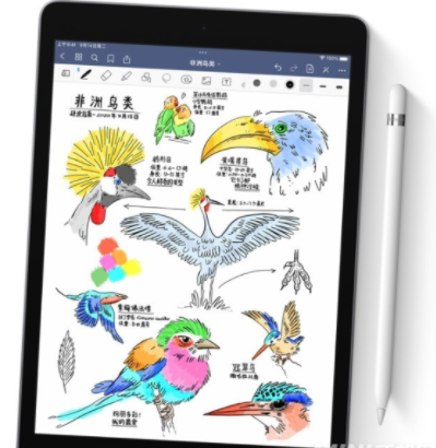iPad9可以用二代Apple pencil吗
