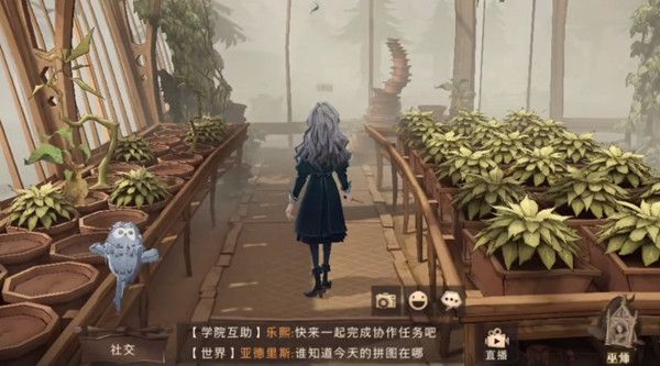 哈利波特魔法觉醒成熟的米布米宝拼图碎片在什么地方