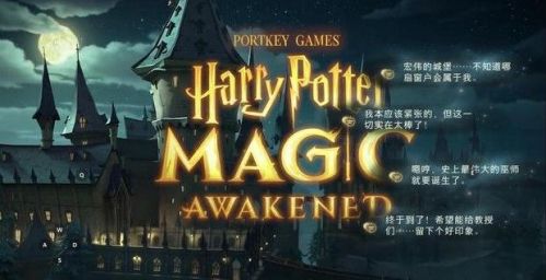 哈利波特魔法觉醒咒术流贝拉卡组搭配攻略