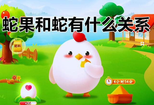 蛇果和蛇有什么关系吗