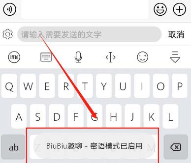 讯飞输入法BiuBiu密语模式怎么开启？讯飞输入法BiuBiu密语模式开启方法截图