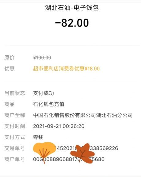 湖北消费券哪个可以加油？支付宝/微信湖北消费券加油攻略[多图]图片2