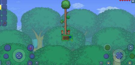 泰拉瑞亚转职条件和职业攻略