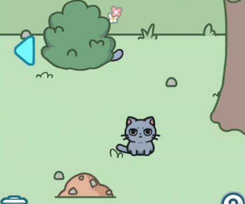 天天躲猫猫3第2关通关攻略